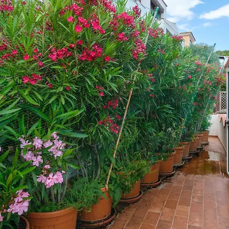 3 Bedroom Amazing In פוסאדה
